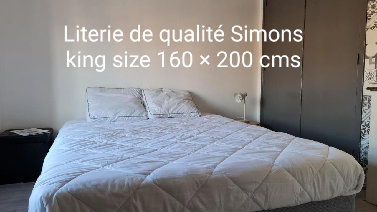 Le Studio De La Republique Agde Exteriér fotografie